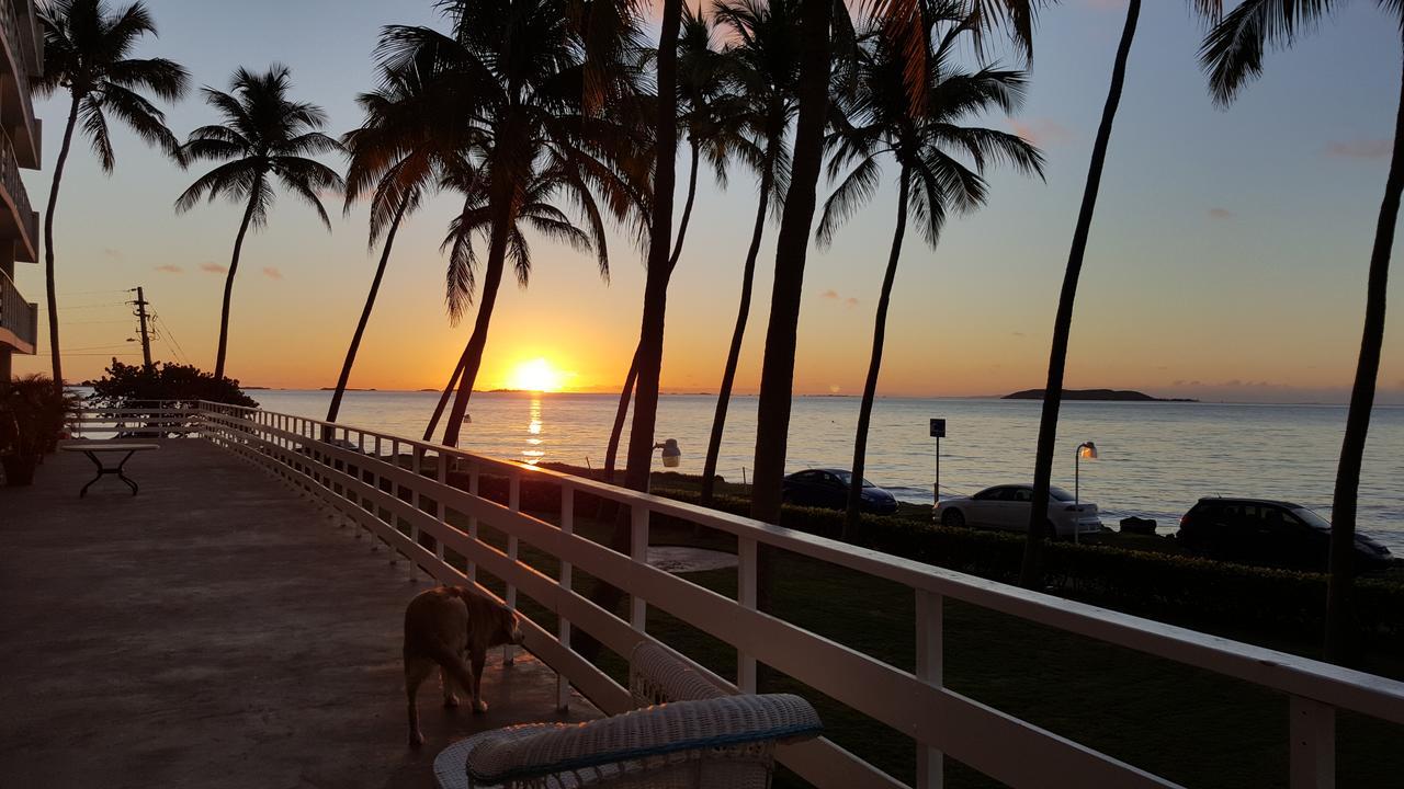 Cozy Apartment, Ocean Front Fajardo Rom bilde